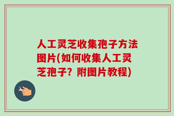 人工灵芝收集孢子方法图片(如何收集人工灵芝孢子？附图片教程)