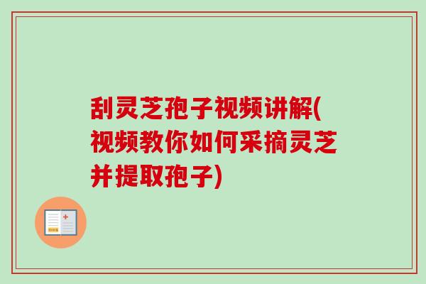 刮灵芝孢子视频讲解(视频教你如何采摘灵芝并提取孢子) 刮灵芝孢子视频讲解(视频教你如何采摘灵芝并提取孢子)