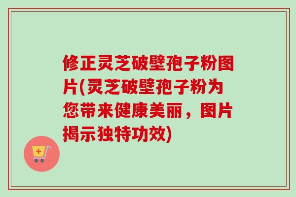修正灵芝破壁孢子粉图片(灵芝破壁孢子粉为您带来健康美丽,图片揭示独特功效) 修正灵芝破壁孢子粉图片(灵芝破壁孢子粉为您带来健康美丽,图片揭示独特功效)