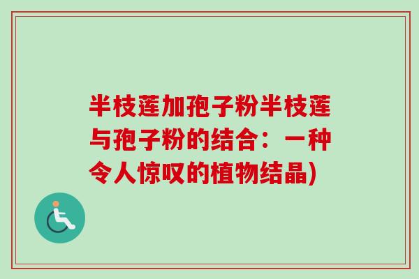 半枝莲加孢子粉半枝莲与孢子粉的结合:一种令人惊叹的植物结晶) 半枝莲加孢子粉半枝莲与孢子粉的结合:一种令人惊叹的植物结晶)