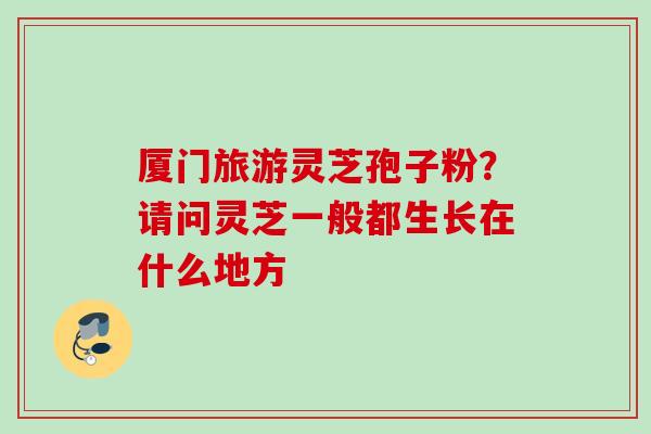 厦门旅游灵芝孢子粉？请问灵芝一般都生长在什么地方