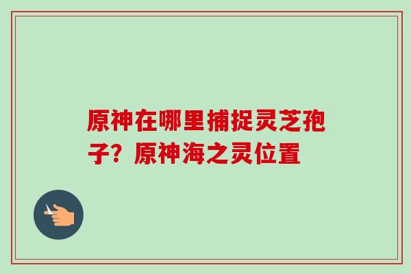 原神在哪里捕捉灵芝孢子?原神海之灵位置 原神在哪里捕捉灵芝孢子?原神海之灵位置