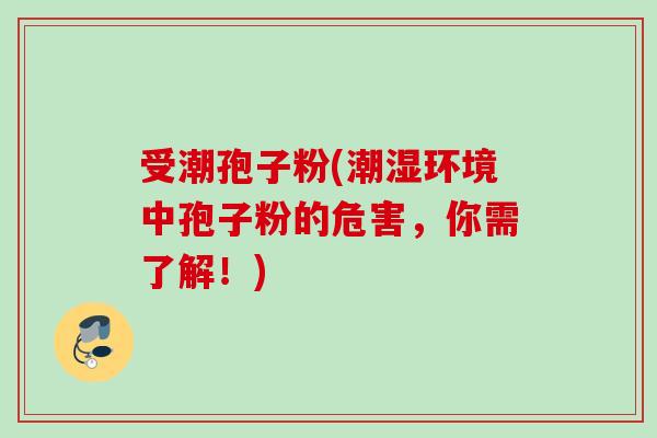 受潮孢子粉(潮湿环境中孢子粉的危害,你需了解!) 受潮孢子粉(潮湿环境中孢子粉的危害,你需了解!)