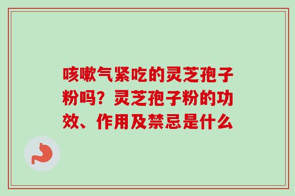 气紧吃的灵芝孢子粉吗?灵芝孢子粉的功效、作用及禁忌是什么 气紧吃的灵芝孢子粉吗?灵芝孢子粉的功效、作用及禁忌是什么