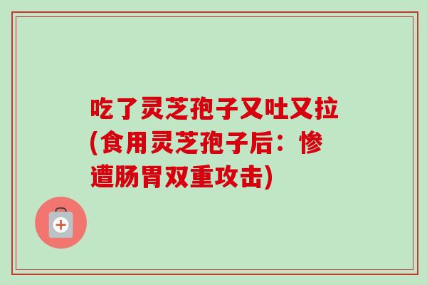 吃了灵芝孢子又吐又拉(食用灵芝孢子后:惨遭肠胃双重攻击) 吃了灵芝孢子又吐又拉(食用灵芝孢子后:惨遭肠胃双重攻击)