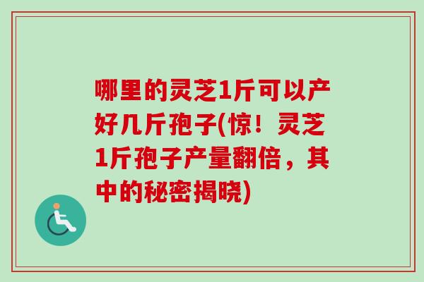 哪里的灵芝1斤可以产好几斤孢子(惊！灵芝1斤孢子产量翻倍，其中的秘密揭晓)