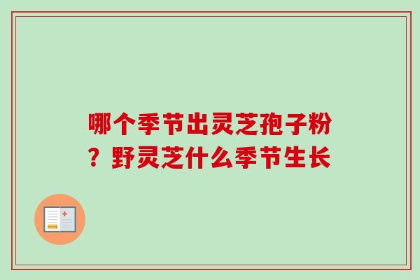 哪个季节出灵芝孢子粉?野灵芝什么季节生长 哪个季节出灵芝孢子粉?野灵芝什么季节生长