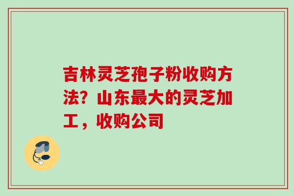 吉林灵芝孢子粉收购方法?山东大的灵芝加工,收购公司 吉林灵芝孢子粉收购方法?山东大的灵芝加工,收购公司