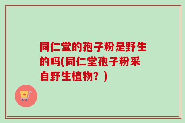 同仁堂的孢子粉是野生的吗(同仁堂孢子粉采自野生植物？)