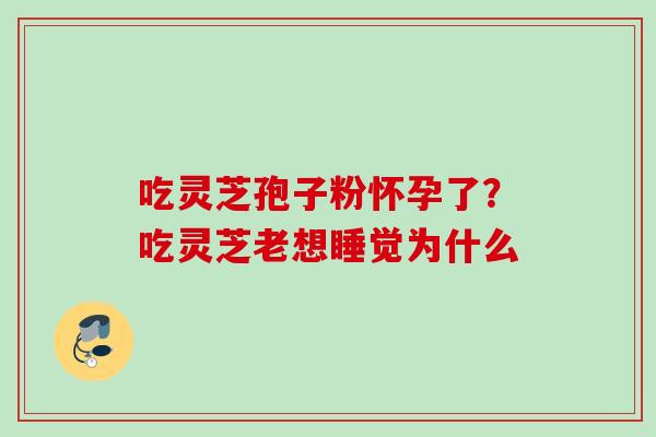 吃灵芝孢子粉怀孕了？吃灵芝老想睡觉为什么