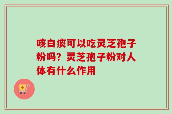咳白痰可以吃灵芝孢子粉吗?灵芝孢子粉对人体有什么作用 咳白痰可以吃灵芝孢子粉吗?灵芝孢子粉对人体有什么作用