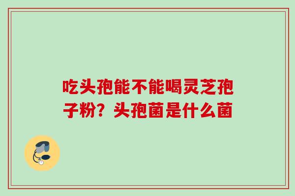 吃头孢能不能喝灵芝孢子粉?头孢菌是什么菌 吃头孢能不能喝灵芝孢子粉?头孢菌是什么菌