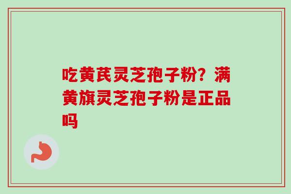 吃黄芪灵芝孢子粉?满黄旗灵芝孢子粉是正品吗 吃黄芪灵芝孢子粉?满黄旗灵芝孢子粉是正品吗