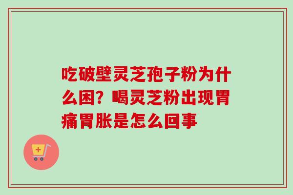 吃破壁灵芝孢子粉为什么困？喝灵芝粉出现胃痛胃胀是怎么回事