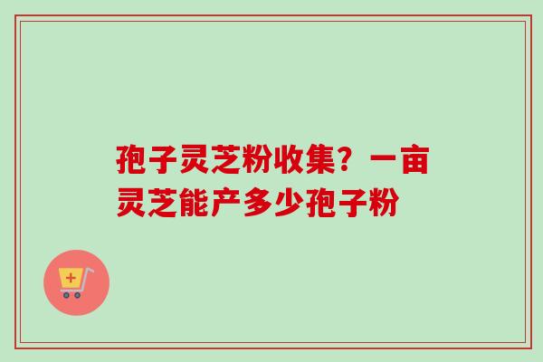 孢子灵芝粉收集?一亩灵芝能产多少孢子粉 孢子灵芝粉收集?一亩灵芝能产多少孢子粉