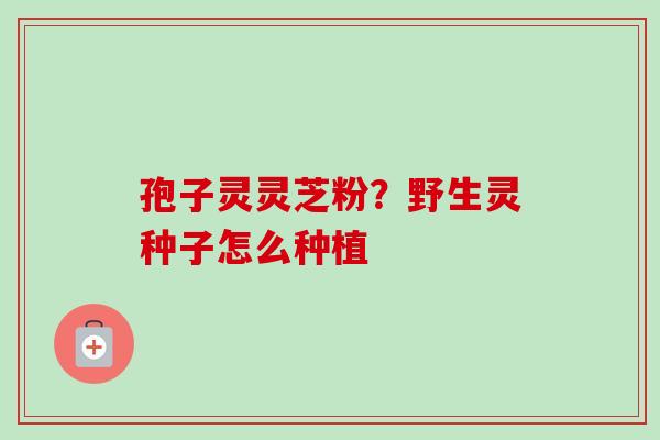 孢子灵灵芝粉?野生灵种子怎么种植 孢子灵灵芝粉?野生灵种子怎么种植