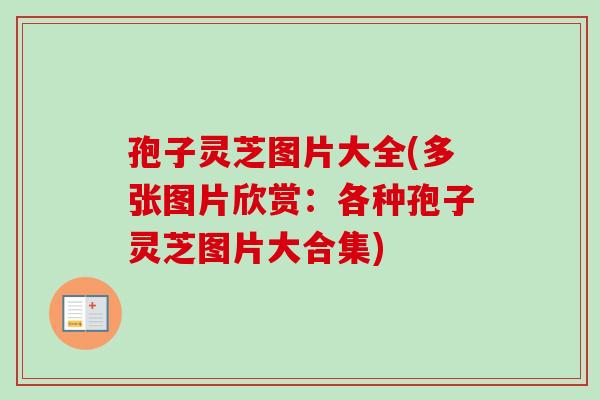 孢子灵芝图片大全(多张图片欣赏:各种孢子灵芝图片大合集) 孢子灵芝图片大全(多张图片欣赏:各种孢子灵芝图片大合集)