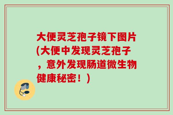 大便灵芝孢子镜下图片(大便中发现灵芝孢子,意外发现肠道微生物健康秘密!) 大便灵芝孢子镜下图片(大便中发现灵芝孢子,意外发现肠道微生物健康秘密!)