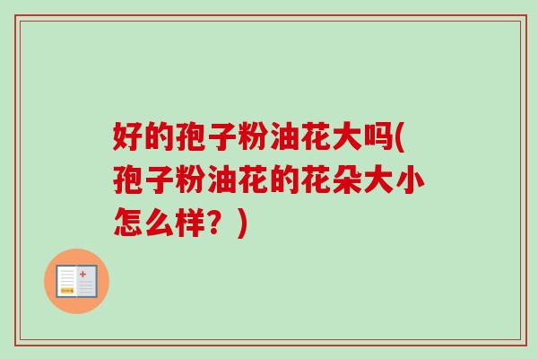 好的孢子粉油花大吗(孢子粉油花的花朵大小怎么样?) 好的孢子粉油花大吗(孢子粉油花的花朵大小怎么样?)
