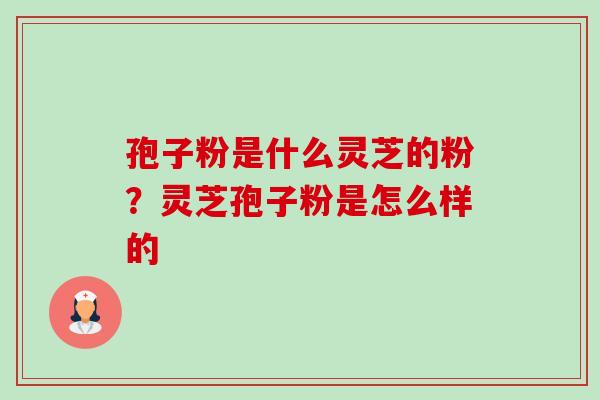 孢子粉是什么灵芝的粉?灵芝孢子粉是怎么样的 孢子粉是什么灵芝的粉?灵芝孢子粉是怎么样的