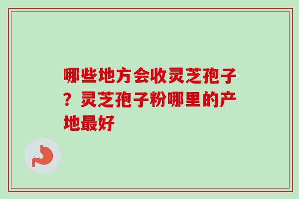 哪些地方会收灵芝孢子？灵芝孢子粉哪里的产地好