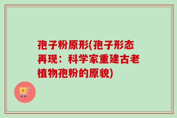 孢子粉原形(孢子形态再现：科学家重建古老植物孢粉的原貌)