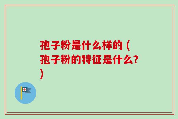 孢子粉是什么样的 (孢子粉的特征是什么？)