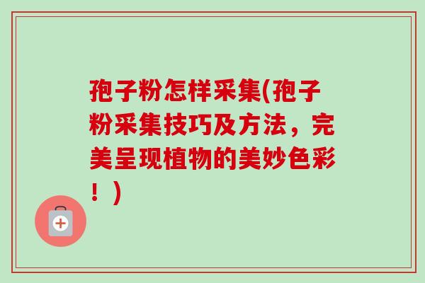 孢子粉怎样采集(孢子粉采集技巧及方法,完美呈现植物的美妙色彩!) 孢子粉怎样采集(孢子粉采集技巧及方法,完美呈现植物的美妙色彩!)