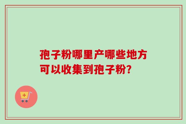 孢子粉哪里产哪些地方可以收集到孢子粉？