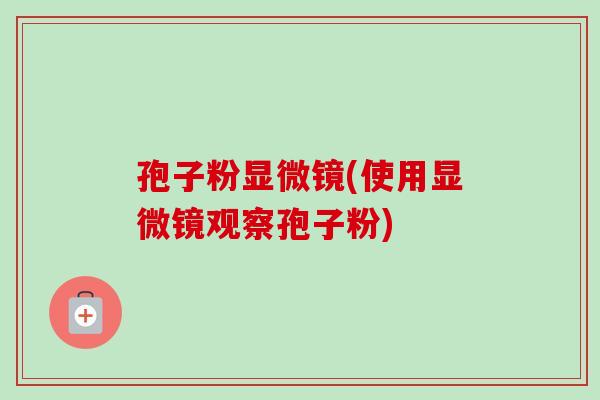 孢子粉显微镜(使用显微镜观察孢子粉) 孢子粉显微镜(使用显微镜观察孢子粉)