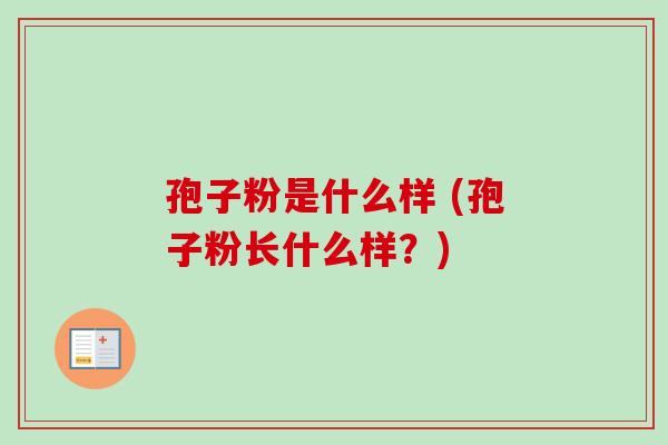 孢子粉是什么样 (孢子粉长什么样?) 孢子粉是什么样 (孢子粉长什么样?)