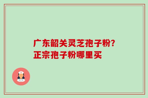 广东韶关灵芝孢子粉？正宗孢子粉哪里买