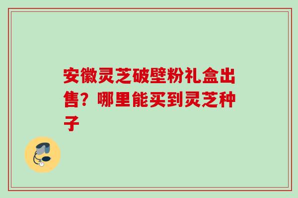 安徽灵芝破壁粉礼盒出售?哪里能买到灵芝种子 安徽灵芝破壁粉礼盒出售?哪里能买到灵芝种子
