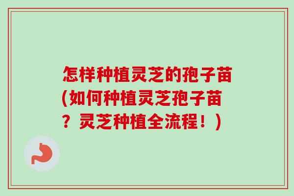 怎样种植灵芝的孢子苗(如何种植灵芝孢子苗?灵芝种植全流程!) 怎样种植灵芝的孢子苗(如何种植灵芝孢子苗?灵芝种植全流程!)