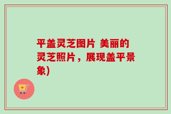 平盖灵芝图片 美丽的灵芝照片,展现盖平景象) 平盖灵芝图片 美丽的灵芝照片,展现盖平景象)