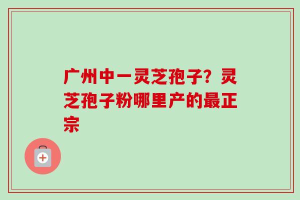 广州中一灵芝孢子?灵芝孢子粉哪里产的正宗 广州中一灵芝孢子?灵芝孢子粉哪里产的正宗