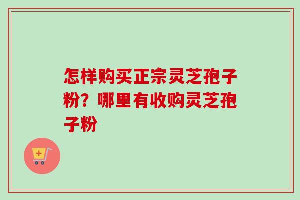怎样购买正宗灵芝孢子粉?哪里有收购灵芝孢子粉 怎样购买正宗灵芝孢子粉?哪里有收购灵芝孢子粉