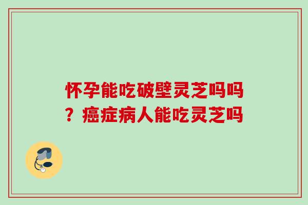 怀孕能吃破壁灵芝吗吗？症人能吃灵芝吗