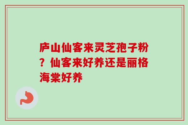 庐山仙客来灵芝孢子粉？仙客来好养还是丽格海棠好养