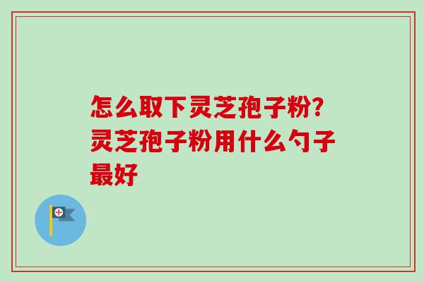 怎么取下灵芝孢子粉?灵芝孢子粉用什么勺子好 怎么取下灵芝孢子粉?灵芝孢子粉用什么勺子好