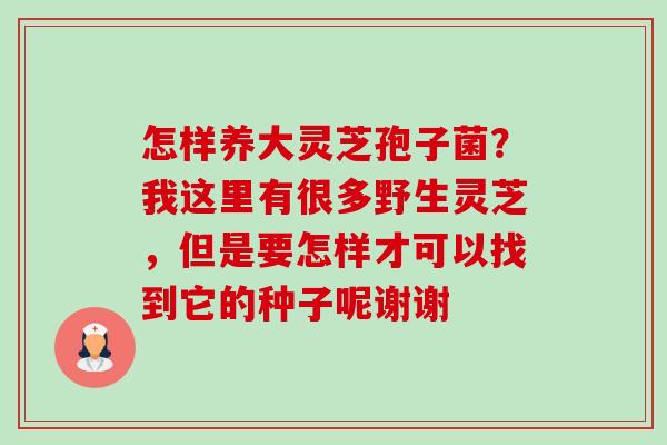 怎样养大灵芝孢子菌?我这里有很多野生灵芝,但是要怎样才可以找到它的种子呢谢谢 怎样养大灵芝孢子菌?我这里有很多野生灵芝,但是要怎样才可以找到它的种子呢谢谢