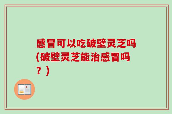 可以吃破壁灵芝吗(破壁灵芝能吗？)