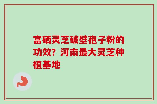 富硒灵芝破壁孢子粉的功效?河南大灵芝种植基地 富硒灵芝破壁孢子粉的功效?河南大灵芝种植基地