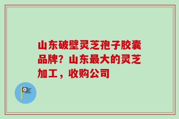 山东破壁灵芝孢子胶囊品牌?山东大的灵芝加工,收购公司 山东破壁灵芝孢子胶囊品牌?山东大的灵芝加工,收购公司