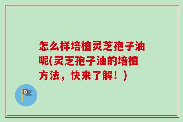 怎么样培植灵芝孢子油呢(灵芝孢子油的培植方法,快来了解!) 怎么样培植灵芝孢子油呢(灵芝孢子油的培植方法,快来了解!)