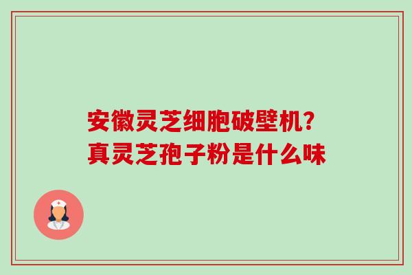 安徽灵芝细胞破壁机?真灵芝孢子粉是什么味 安徽灵芝细胞破壁机?真灵芝孢子粉是什么味