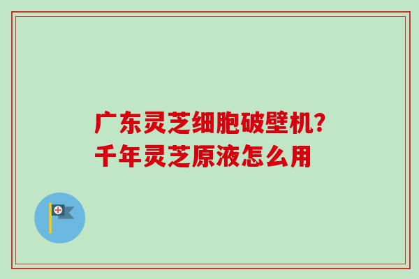 广东灵芝细胞破壁机?千年灵芝原液怎么用 广东灵芝细胞破壁机?千年灵芝原液怎么用