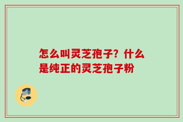 怎么叫灵芝孢子?什么是纯正的灵芝孢子粉 怎么叫灵芝孢子?什么是纯正的灵芝孢子粉