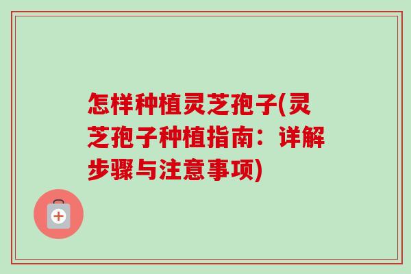 怎样种植灵芝孢子(灵芝孢子种植指南:详解步骤与注意事项) 怎样种植灵芝孢子(灵芝孢子种植指南:详解步骤与注意事项)