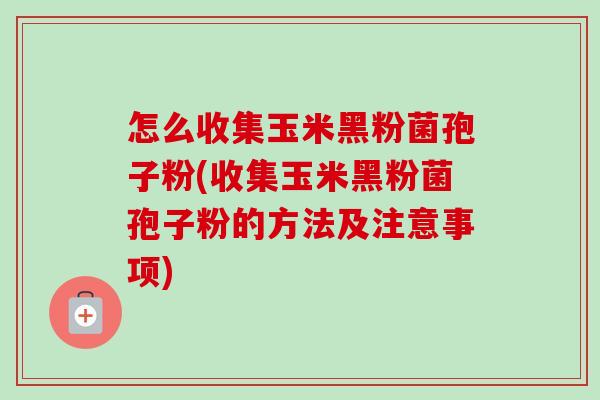 怎么收集玉米黑粉菌孢子粉(收集玉米黑粉菌孢子粉的方法及注意事项) 怎么收集玉米黑粉菌孢子粉(收集玉米黑粉菌孢子粉的方法及注意事项)